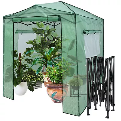 Costway Walk-In Greenhouse Garden Shed Plant Storage Green House Pop-Up Windows • $125.95