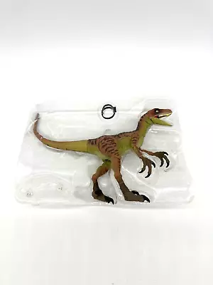 Jurassic World Amber Collection Velociraptor Echo Brand New Without Box • $28.85