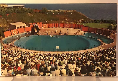 Postcard The Sea Arena Marineland Of The Pacific California Unposted Clean • $1.68