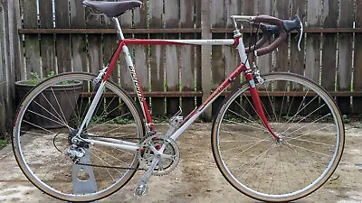 Giordana Strada-XL 60cm Vintage Road Bicycle • $3000