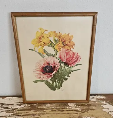 Vintage Floral Poppy Lily Print In Bamboo Frame Sidney Lucas 12.5  X 9.75  • $34.49