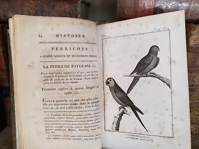 1801 BUFFON - NATURAL HISTORY OF BIRDS With Engravings • $54.99