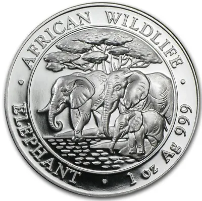 2013 1 Oz Somalia Elephant Silver African Wildlife Series BU .999 Prooflike Coin • $41.98