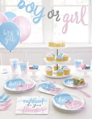 Gender Reveal  Party Tableware Decorations Balloons Blue Pink He She Baby Shower • £2.99