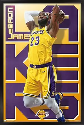 $44.49 • Buy NBA Los Angeles Lakers - Lebron James 19 14x22 Poster