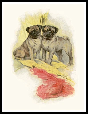£5.99 • Buy Pug Dogs And Pink Feather Lovely  Vintage Style Dog Art Print Poster 