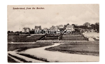 £3.50 • Buy London Surrey Croydon Sanderstead From The Beeches 1907 Postcard