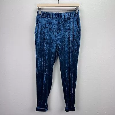 Ecote Urban Outfitters Blue Crushed Velvet Pants Pull On Elastic Waist Pockets • $22