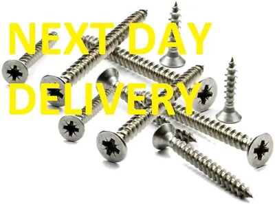 SELF TAPPING SCREWS A2 STAINLESS STEEL COUNTER SUNK POZI HEAD N04 06 06  24h Del • £1.19
