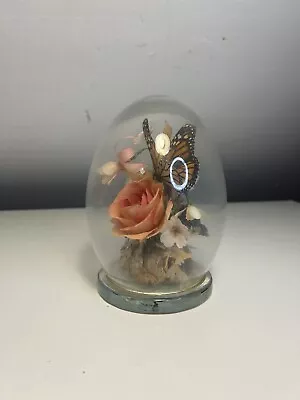 Vintage Taxidermy Egg Shape Glass Dome Dried Flower Butterfly Diorama Entomology • $27.15
