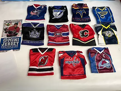 Nhl Mini Jerseys 2006-2007 Season 11 Jersey Lot • $19.50