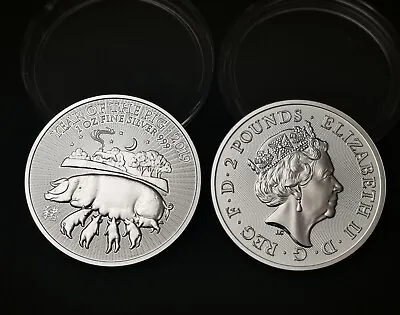 Gb 2019 Year Of The Pig .999 Silver Coin In Capsule Unc. • £30