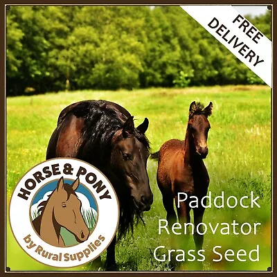 Horse Paddock Grass Seed - FOR PASTURE AND GATEWAY RE-SEED RENOVATION OR REPAIR • £192