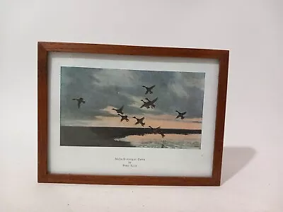 Peter Scott Vintage Duck Print  - Mallards Rising At Dawn  #2 - Framed. • $9.87