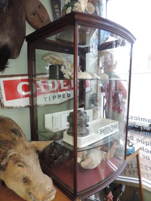 £560 • Buy Large Antique Shop Counter Top Bow Front Glass/Mahogany Display Cabinet