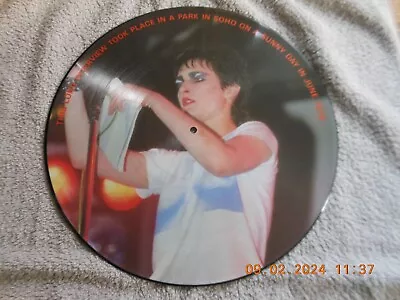 Siouxsie And The Banshees Rare Picture Disc 12  Vinyl  Interview Disc NM • £22.99