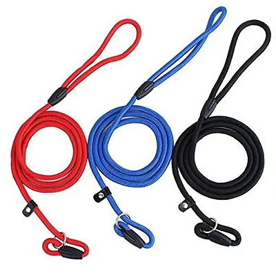 Halti Head Halter Slip Leash Lead Rope Dog Whisperer Cesar Millan Training!!! • £6.99