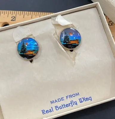 Vintage Morpho Butterfly Wing Painted Palm Tree Screwback Earrings In The Box! • $19.95