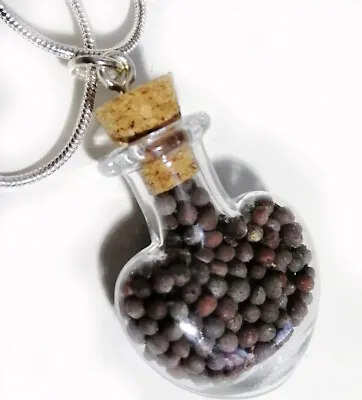 Necklace Mustard Seeds Bottle Pendant From Galilee (Israel) - Faith Seed    • $15.98