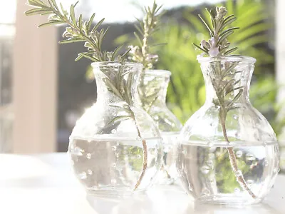 £2.95 • Buy Bud Flower Vase Glass Antique Wedding  Vintage Party Home Decor Christmas