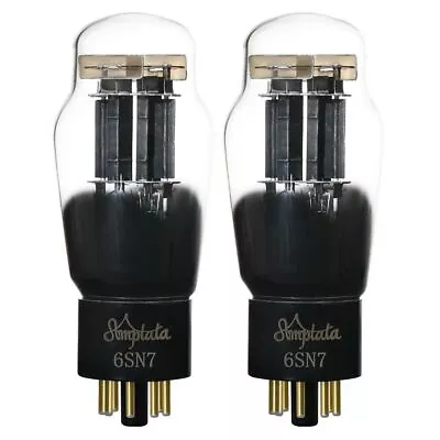 Matched Pair AMPTATA 6SN7 Vacuum Tube HIFI CV181 ECC32 Audio Amplifier Classic • $126.49