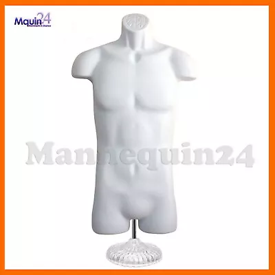 WHITE MANNEQUIN MALE TORSO W/ TABLE TOP STAND + HANGER - PLASTIC DRESS FORM  • $67.40