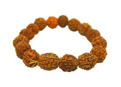 5 Mukhi Rudraksha Bracelet Five Face Rudraksh 8 Mm To 10 Mm Beads Size 100% Real • $8.99
