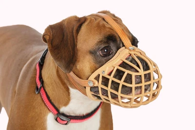 £26.17 • Buy Baskerville Classic Muzzle - Size 12