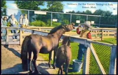 $1 • Buy Children’s Pet Zoo Exhibit, Shetland Pony, Zoological Park, Detroit Zoo