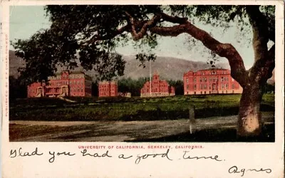 £4.86 • Buy 1906 University Of California UC Berkeley CA Postcard E P Charlton Antique