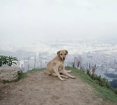 $650 • Buy ALEC SOTH 'Bogota, Columbia' 2003/2021 SIGNED Ltd. Edition Photograph 6 X6  NEW!