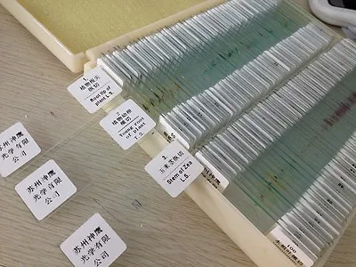 100pc Professional Glass Slice Prepared Microscope Slides Educational Specimen • $39.80