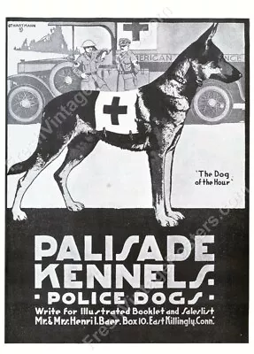 1917 German Shepherd Police War Dog Red Cross Ambulance WWI Art NEW Poster 18x24 • $22