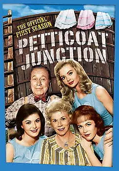 Petticoat Junction: The Official First Season (DVD)New • $7.99