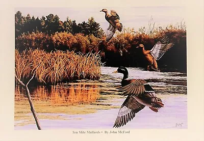 Duck Art Sporting Art Mallard  Ducks Signed Print Open-edition Wildlife Art • $14
