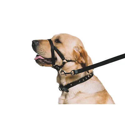 Ancol Dog Puppy Training Halter No Pull Head Harness Lead Collar Training Halti • £8.50