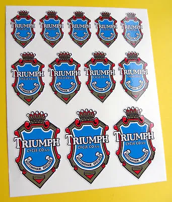 Retro Vintage Type Cycle Bike Frame Head Decals Stickers To Fit TRIUMPH • $7.31
