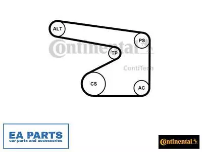 V-Ribbed Belt Set For OPEL SUZUKI CONTINENTAL CTAM 5PK1355K1 • $178.53