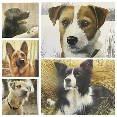 Birthday Card From The Countryside Collection+others DOG BREEDS • £2.49