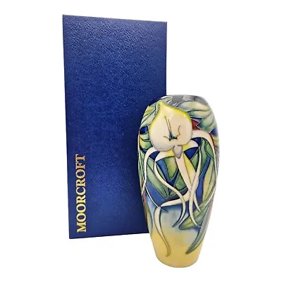 Moorcroft Allegria Vase With Angraecum Orchid By Emma Bossons Limited Edition • $273.74