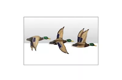 Set Of 3 Metal Flying Ducks Hanging Wall Fence Ornament Outdoor/Indoor • £23