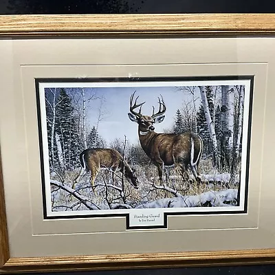 Standing Guard By Jim Hansel  Deer Buck Print-Framed 16 X 20 • $15