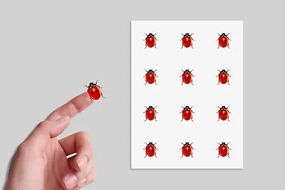 24 X Lady Bug Ladybird Insect Animal Stickers Party Bag Sticker Decals Stickers  • £4.28