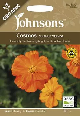 Cosmos Sulphur Orange  50 Fresh Seeds    Organic Seeds    Flower Seeds • £2.65