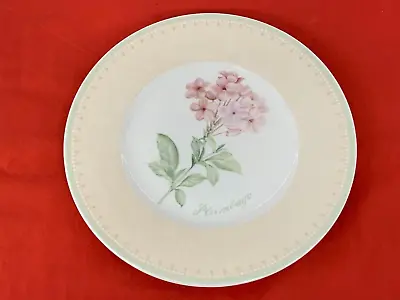 Villeroy And Boch   --  Florea Floris  --   Salad Plate (one) • $15.99