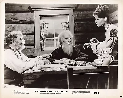 Elsa Martinelli 1959 Movie Photo 8x10 Prisoner Of The Volga Cossacks  *P58b • $20.83