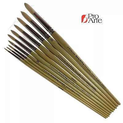 Round Brushes Hogs Hair Oil Acrylic Paint Round Brush Artists Pro Arte Series B • £13.02