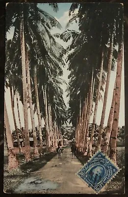 1930 Manila Philippines USA Picture Postcard Cover Avenue Of Palms To Italy • $61.20