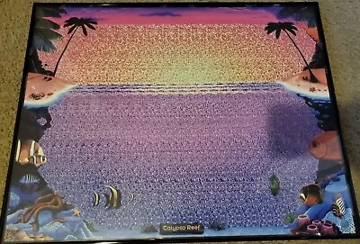 Framed Calypso Reef Magic Eye Nvision Grafix 3D Poster Print 1993 Vintage • $163.12