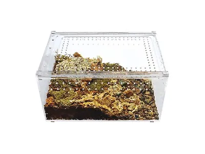 Herpcult Acrylic Reptile Terrarium Gecko Spider Vivarium Enclosure Large Flat • $44.98